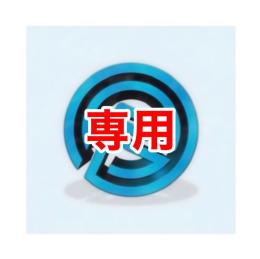 専用インスタ日本人300人