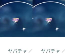 6999【PTC】在庫処分！色違いヤバチャ　しんさくフォルム2匹