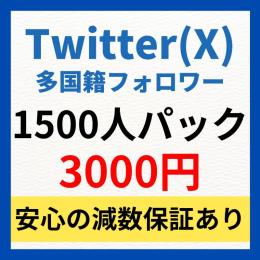 【1500人パック】Twitter多国籍フォロワー1500人増加