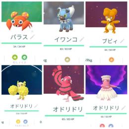 色違いイワンコ パラス ブビィ通常オドリドリ キュワワー かりゆしピカチュウ アカウント販売