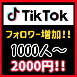 TikTokフォロワー＋1000人増加！！減少保証付！高品質