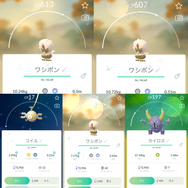Ptc垢 色違いワシボン3体所持のアカウント販売 ポケモンgoのアカウント売買サイト