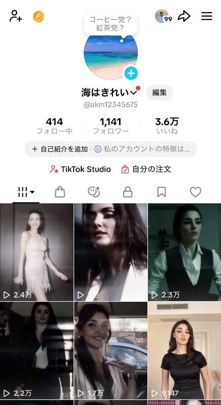 出品画像