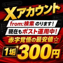 【ツイッター(X)アカウント】from検索のります！最安値！現在もポスト運用中！