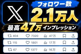 【2.1万フォロワー】2016年開設｜最高47万表示｜長期運用・整理済みXアカウント