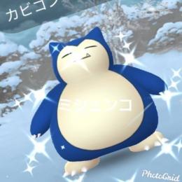 色違いカビゴン 通常ぺラップ アカウント販売