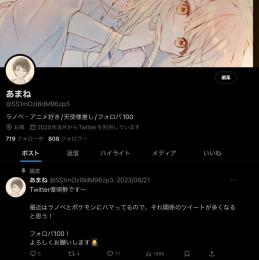 日本人相互垢 フォロワー数800↑ SMS認証済 オールグリーン OLDアカウント
