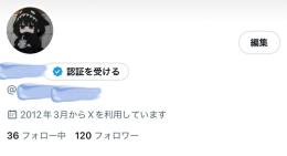 【今から始める方向け】日本人高アクティブアカウント