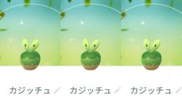 【PTC】国産★色違いカジッチュ ３匹