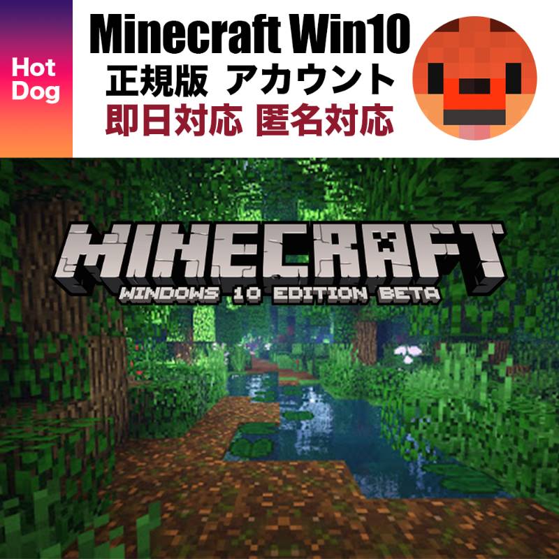 Minecraft Windows10 Edition アカウント マイクラ ゲームクラブ
