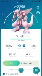 【アカウント】色違いパルキア(国産)・色違いヤドン
