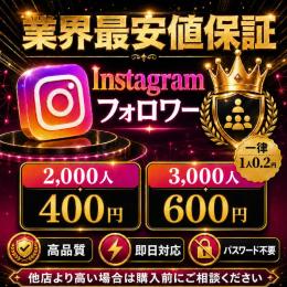 【業界最安値保証】Instagramフォロワー3,000人