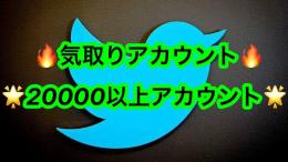 【💥激安💥】 Twitter 気取り垢 フォロワー2万人以上アカウント 🔥即対応&最安値🔥