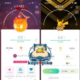 ✨国内産✨色違いキョダイマックスエースバーン✨1体500円✨