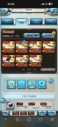 極みスキン/ルミ7/SSR580↑/十天衆全150/賢者全100/プロヴィ全完凸/破壊武器5凸2本