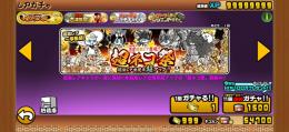 🔥最強🔥初心者おすすめスターターパック！