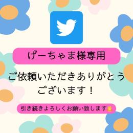 げーちゃま様専用出品② Twitter(X)多国籍フォロワー1500人増加
