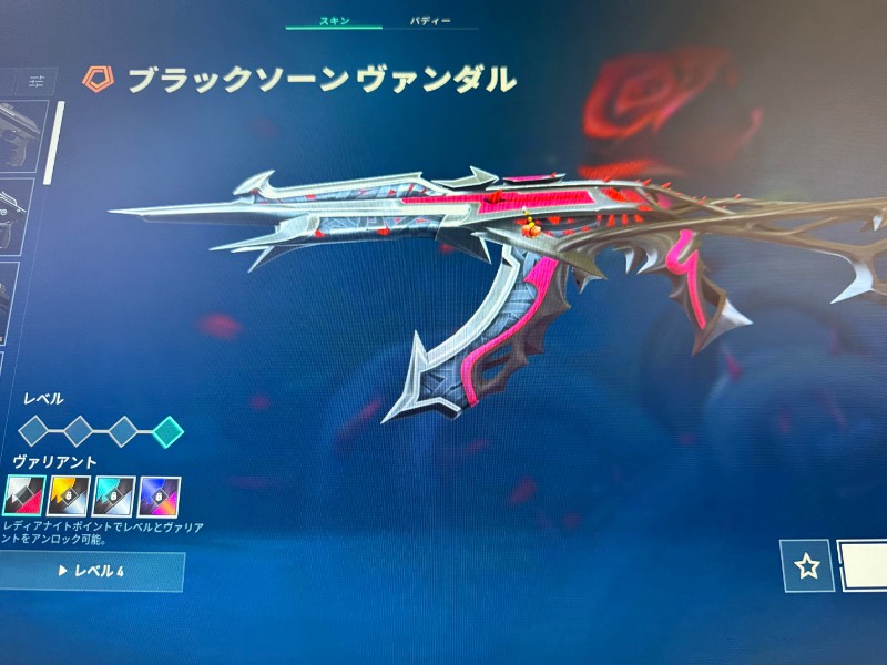出品画像