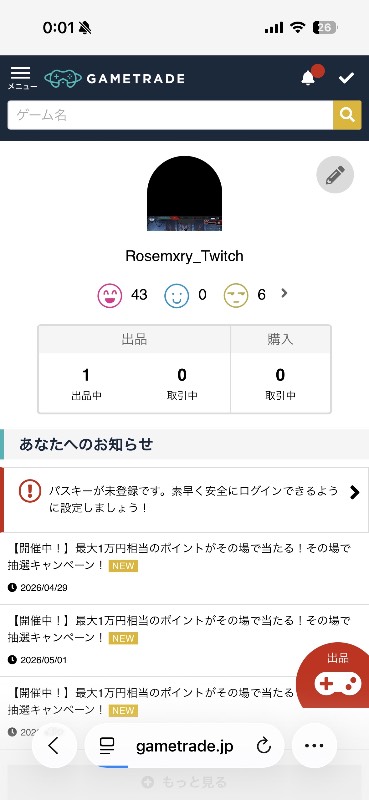 出品画像