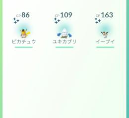 特価☺️【国産色違い】ホリデーハットイーブイ＆ピカチュウ色違い1匹アカウント