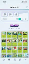 図鑑コンプ済 イマーシブル全所持 即対応