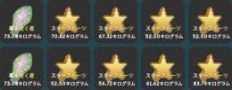 約2b分のフルーツ　sheckles