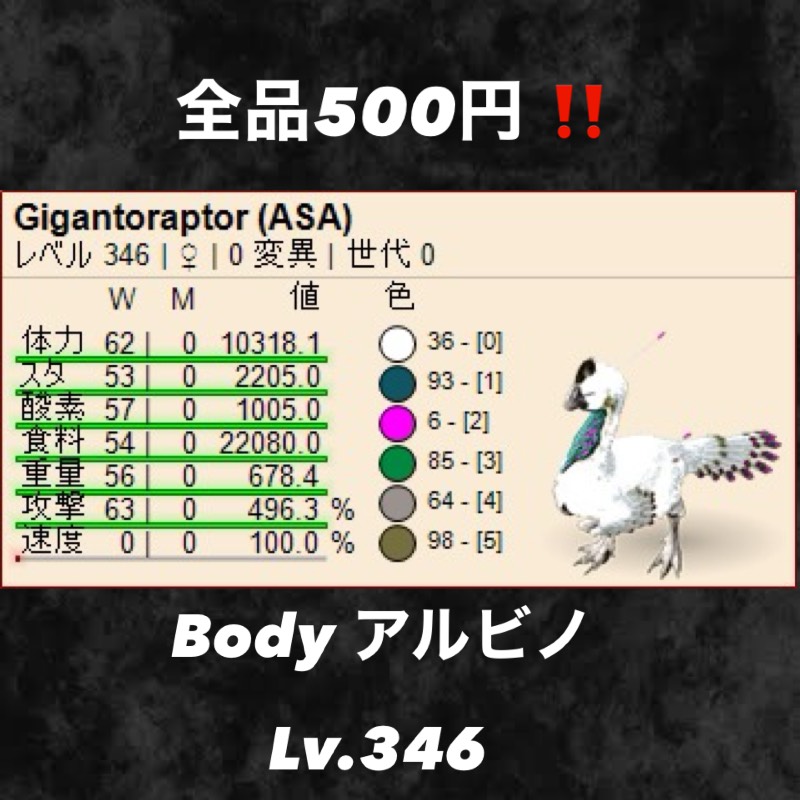 出品画像