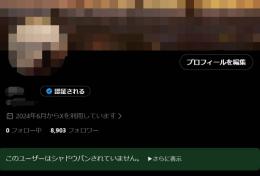 【Xアダアフィ/裏垢女子/夜職等】 ALL日本人8,903人 月1,000万インプ Xアカウント