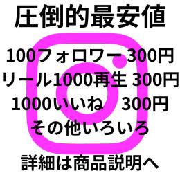 実績多数！破格のインスタグラムサービス