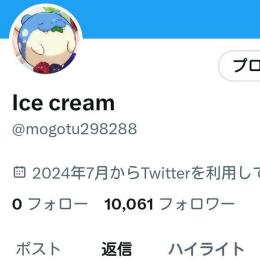 アダルト系Twitterアカウント フォロワー10000人 高インプレッション 高いいね