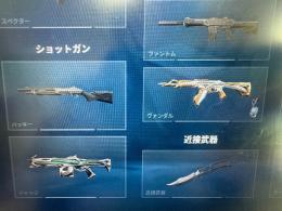 スキン3個　、レベル14 、メールアドレス譲渡可能