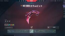 限定スキン大量！！引退アカウント総課金額15万越え