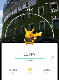 PokeGoGo様専用