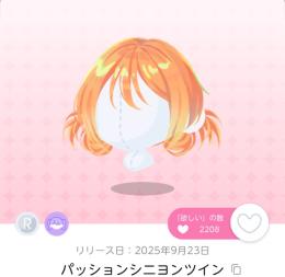 パッションシニヨンツイン 1人分