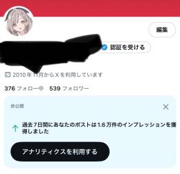 日本人フォロワー500人越えアクティブアカウント
