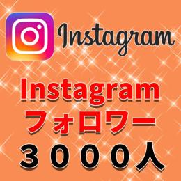 海外フォロワー増加　１３３０円で３０００人！ 30日保証つき 振り分け可