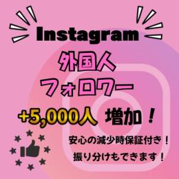 Instagram 多国籍フォロワー+5,000人 減少保証付