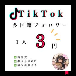 【Tik Tok】多国籍フォロワー1000人増加