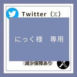 【にっく様専用】🎊出店記念SALE🎊Twitter(X)日本人フォロワーお試し300人
