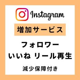 【業界最安値】インスタ増加サービス フォロワー・いいね・リール再生（減少保障付き）