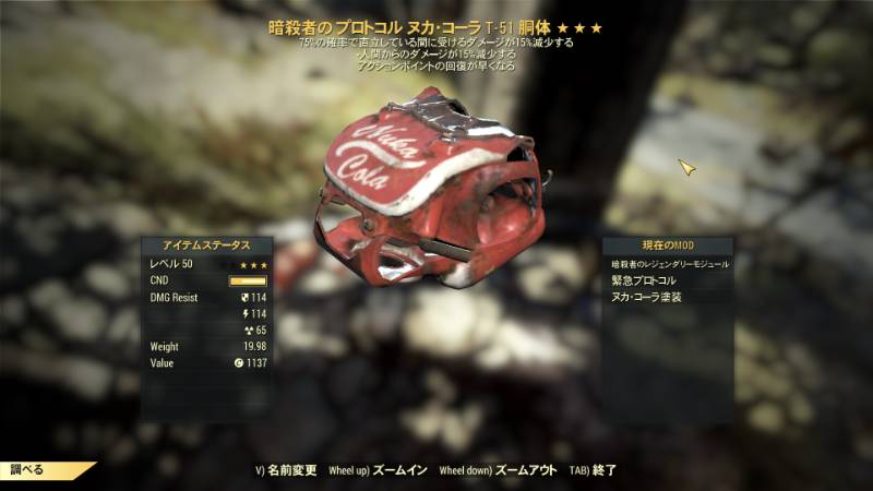 出品画像