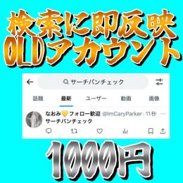 【完全保証】検索に検索に即反映OLDアカウント🔥運用済み🔥