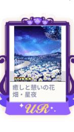 癒しと憩いの花畑・星夜
