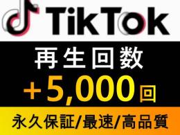 tiktok動画再生回数増加【即日対応/永久保証】