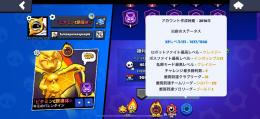 マスター踏めないので売ります