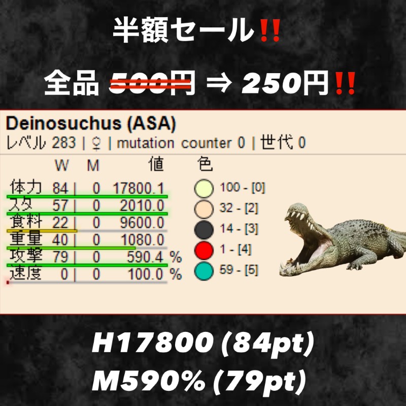 出品画像