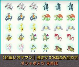 【色違いオヤブン】チャンピオンズ強ポケ30体詰め合わせ