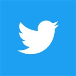 Twitter(X)OLDアカウント×10 / オールグリーン🌟