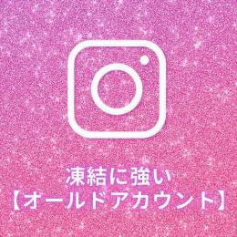 凍結に強い✨Instagram OLDアカウント💗10個まとめ買い💗2025年春作成