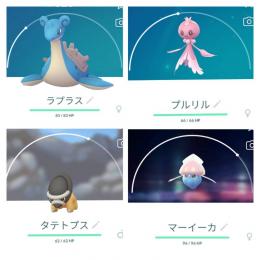 ぎるにぃ様　専用　2021/12/16　指定ポケモン捕獲